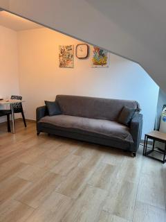 Appartement Douceur - Horbourg - 8