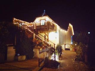 Logement de charme proche Colmar avec terrasse - Sainte-Croix-en-Plaine - 7