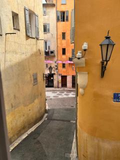 jasmin - Grasse - 1