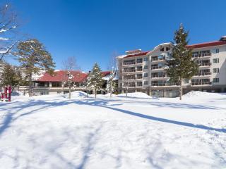 Hakuba Tokyu Hotel - Hakuba - 1