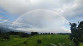Biroro Ricefield Villa Malino - 7