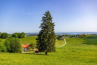 Wieserhof - Bernau am Chiemsee - 9