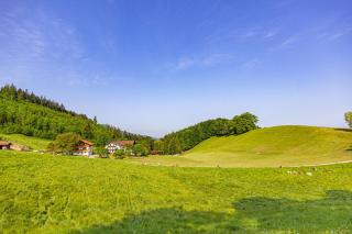 Wieserhof - Bernau am Chiemsee - 6