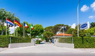 Camping Europa - Marina di Massa - 5