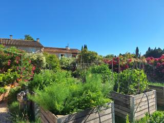 MAS DES FIGUES - Mas XVIIIe - ouvert 01 mai au 30 septembre 2025 - Piscine très calme - Alpilles Saint Rémy de Provence - cuisine faite maison brunch méditerranéen - certifié Biologique FRBio10 potager huile d'olive bio roseraie Biodiversité Agritourisme - Saint-Rémy-de-Provence - 2