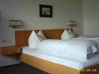 Landhotel Löwen - Blumberg - 1