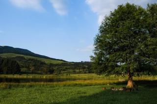 eKuthuleni - Wooden Cabin over the lake - 6