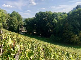 Domaine GUIET - Nevy-sur-Seille - 9