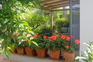 La Casetta di Vi - Palermo - 4