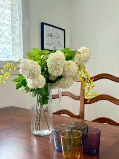 Chez Suzanne - 1