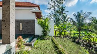 Padi Luwih - Ubud - 7
