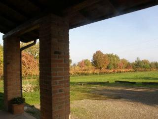 Agriturismo Bosco Del Fracasso - Scandiano - 1