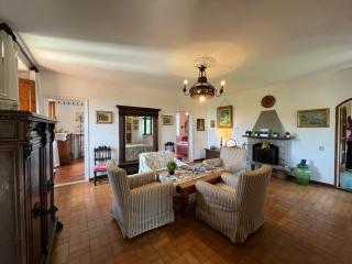 Rosa Selvatica by Holiday World - 8