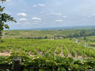 Chambres d'Hotes Le Panoramic Chiroubles Beaujolais - Chiroubles - 9