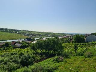 Somad Apartment - Rediu - 6