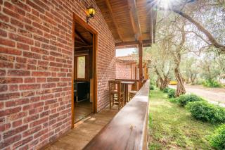 Olive Tree Bungalows - 0
