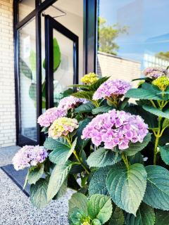 Moderne 1 Zimmer Ferienwohnung mit Sonnenterrasse und Parkplatz, in ruhiger Lage, nur wenige Gehminuten zum Ostsee Sandstrand - 1