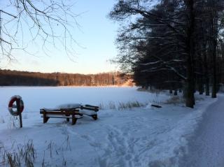 Rymligt boende i en fantastisk villa! Bo helt PRIVAT som enda gäster och boende! Nära NATUREN, lokala bekvämligheter och lätt att resa till med bil, buss eller tåg! Varifrån ni kan utforska södra Sveriges skatter, eller bara koppla av! - 4