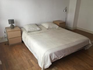 Spacieux et confortable T3 88m2 Grenoble secteur Jeanne d Arc - Grenoble - 5