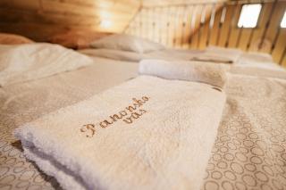 Panonska Vas Villas - Moravske-Toplice - 2