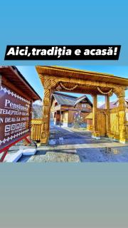 Pensiunea Ileana Teleptean - Vadu Izei - 2