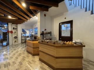 Noah's Ark Hotel powered by Cocotel - Dauis - 4