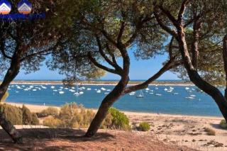 EL Rompido Los Enebros Pet Friendly Alquiler vacacional - 7