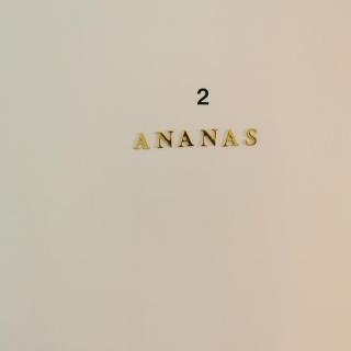 Chambre Ananas à saint Marceau - Orléans - 6