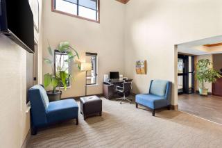 Comfort Inn - Van Wert - 3