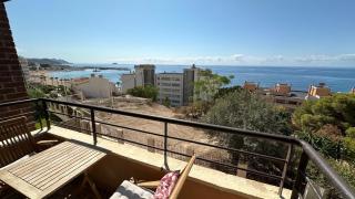 PV20B, Amplio apartamento centrico, 50 mt de la playa y vistas al mar - 7