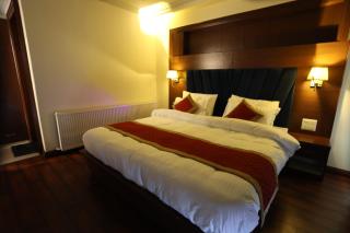 Hotel Paldan - Leh - 9