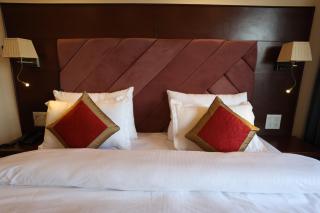Hotel Paldan - Leh - 5