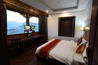 Hotel Paldan - Leh - 3