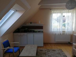 Helles Gästezimmer mit Kleinküche und Badbenutzung - Schwabmünchen - 8