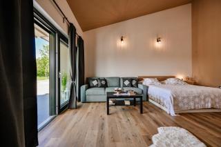 Villa Škavre by IstriaLux - Kršan - 5
