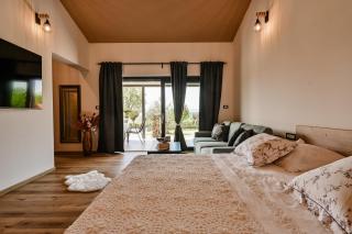 Villa Škavre by IstriaLux - Kršan - 3