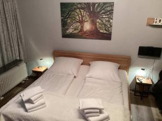 Ferienwohnung Harzer Sonnenbaum - Sankt Andreasberg - 3