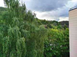 Ferienwohnung Waldwiese - Bad Harzburg - 9