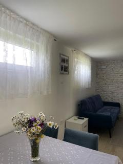 Montenegro High Mountain Apartment - Žabljak - 2