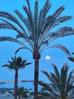 Benalbeach Paradise - Benalmádena - 6