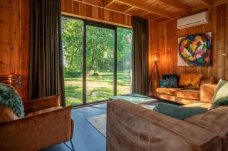 Wellnesslodge Scholekster met jacuzzi en uitzicht - Dalerveen - 6