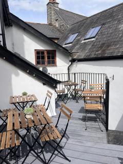 The Swan - 4