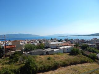 Angela's Apartment with beautiful balcony view - Agios Konstantinos Fthiotida - 7