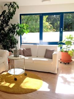 Große Ferienwohnung zwischen Kassel und Göttingen auf dem Land - Witzenhausen - 7