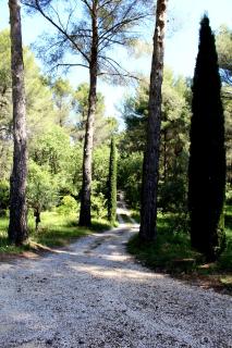 Villa Des oliviers - Le Beausset - 9