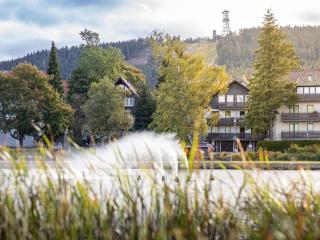 Hexenglück Hahnenklee - Hahnenklee-Bockswiese - 8