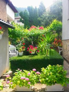 Modern&Cozy Bosnian house with GARDEN+FREE parking - Sarajevo - 5