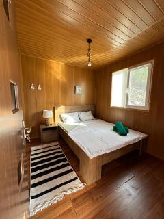 Liam Lake House - Bicaz - 3