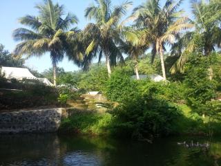 Hiranya Nature Retreat - 1