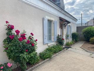 Clos des Chardons - Le Jardin - Saint-Aignan - 9